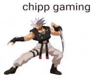 a gif of every chipp frame from plus R overlaying each other as they appear. it says 'chipp gaming' at the top